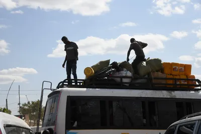 DSC_2647 (Large).JPG